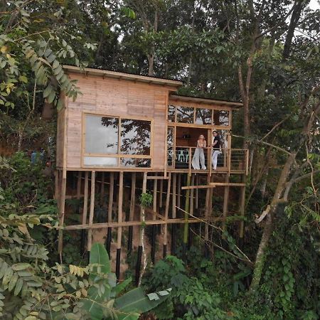 Luxury Tiny House - Minca Villa Ngoại thất bức ảnh
