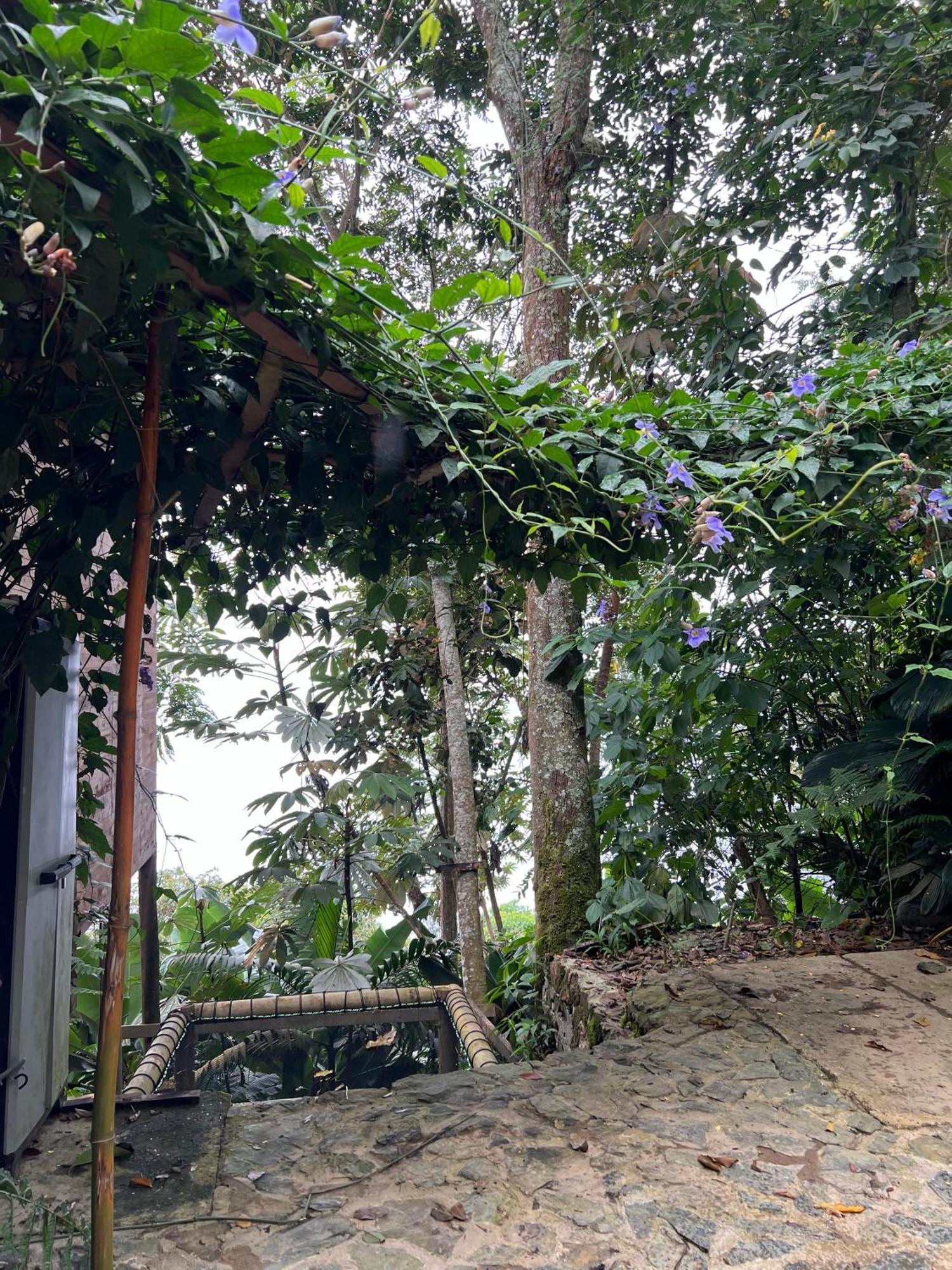 Luxury Tiny House - Minca Villa Ngoại thất bức ảnh
